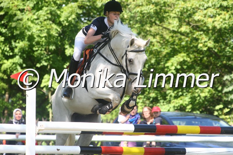 308M1635_Spring Mxx.JPG